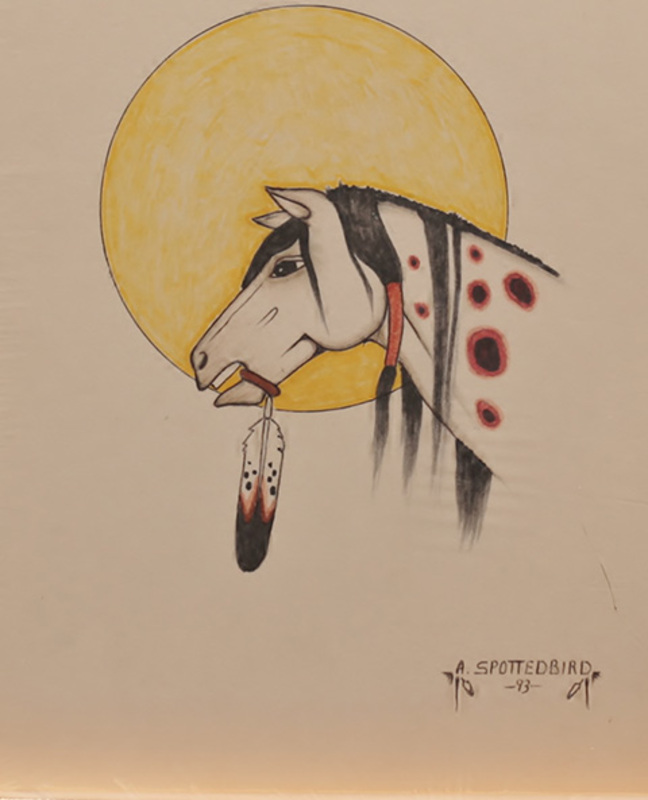 Head of horse in front of sun