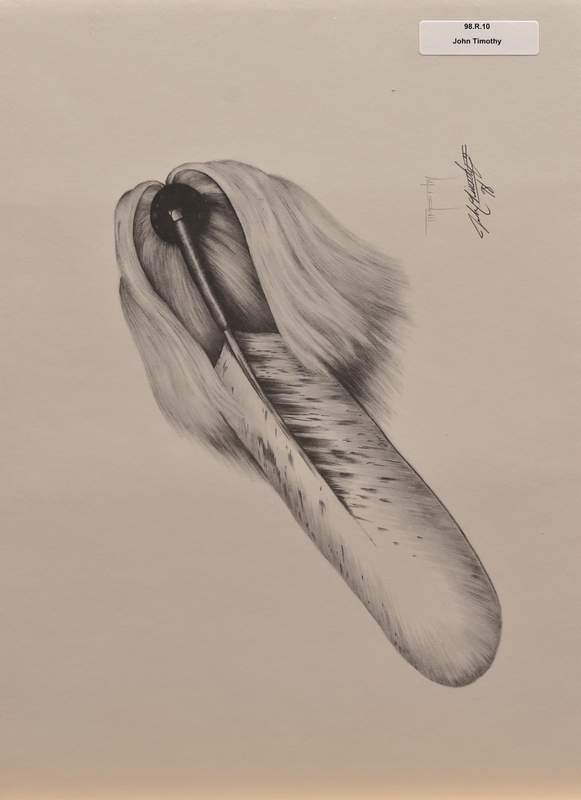 Untitled (Roach with feather)